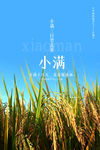 小满