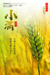 小满