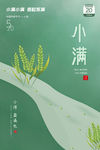 小满
