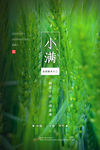 小满