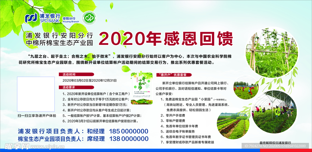 清新版面