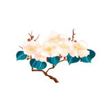 中国风水墨百花红果花卉工笔留白