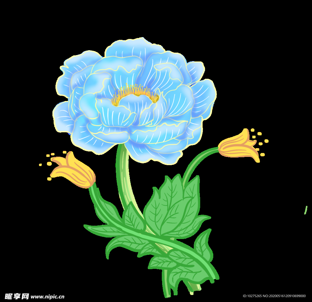 富贵牡丹