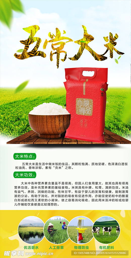 五常大米海报