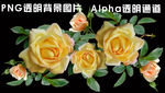 玫瑰花