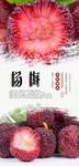 杨梅PSD分层海报