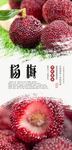 杨梅PSD分层海报