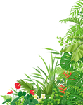 清新手绘花环