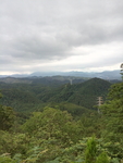 森林山丘