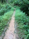 乡间小路