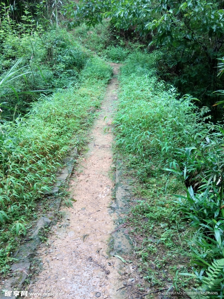 乡间小路