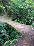 林间小道