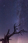 夜空