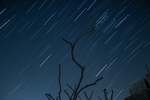 夜空