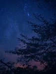 夜空