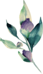 欧式花纹