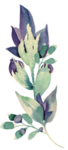 欧式花纹