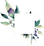 欧式花纹边框