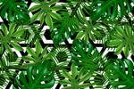 线条矢量手绘花草植物