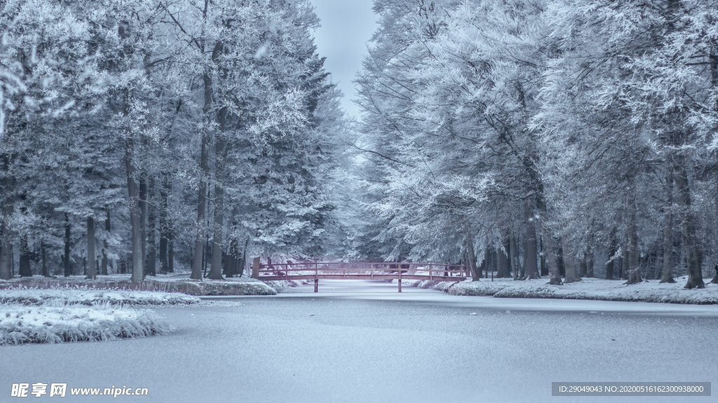 树林雪景