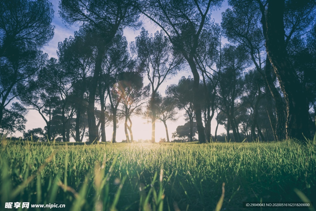 风景