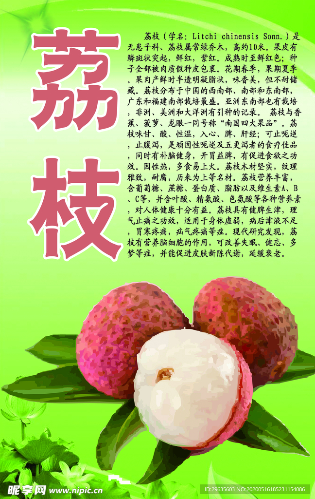 水果文化系列之荔枝