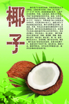 水果文化系列之椰子
