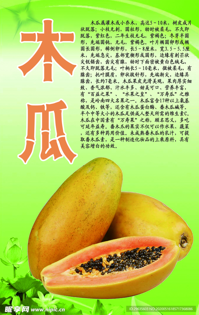 水果文化系列之木瓜
