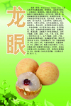 水果文化系列之龙眼