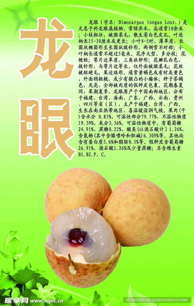 水果文化系列之龙眼