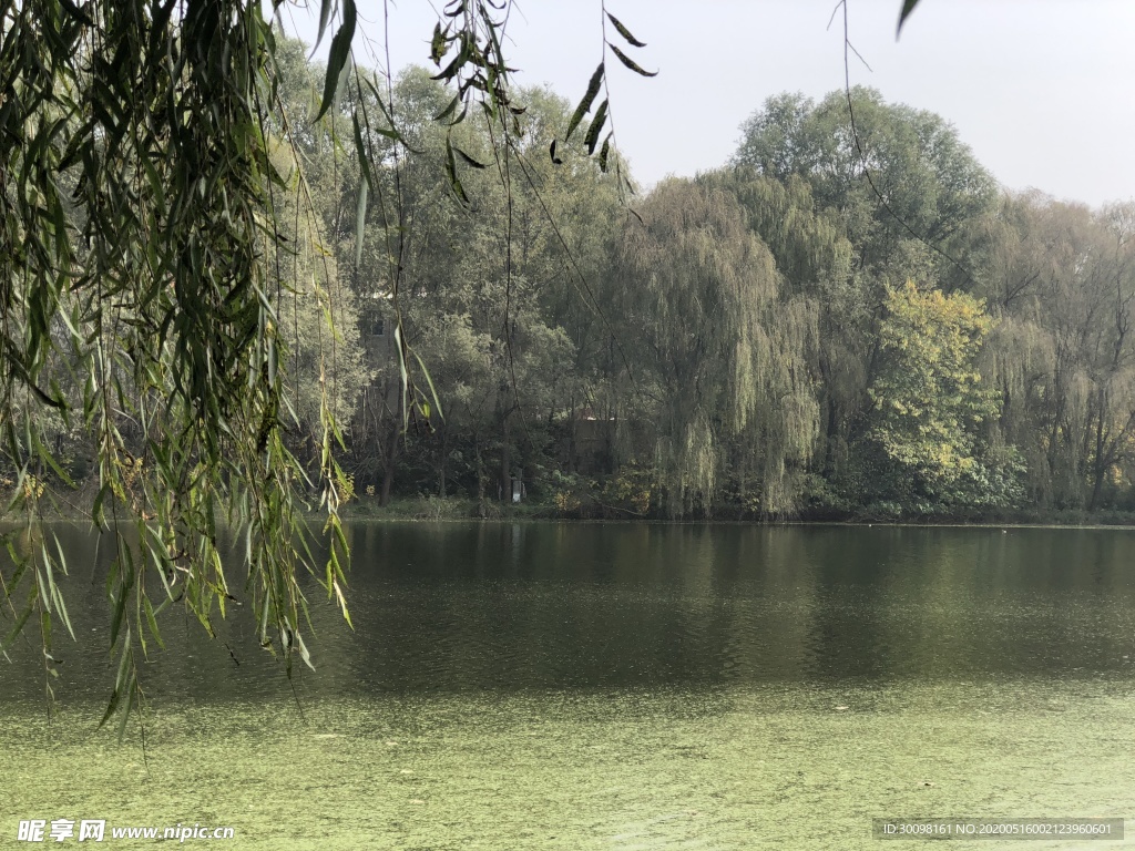 河流风景