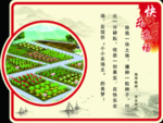 校园课堂 校园展板 校园文化