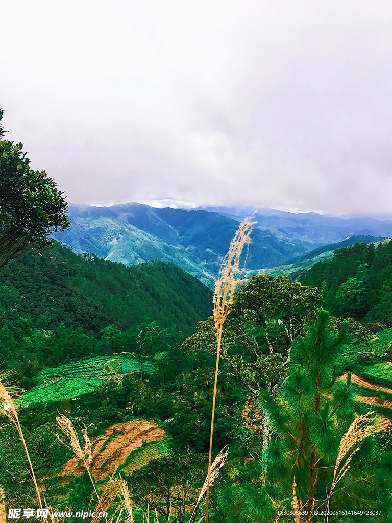 风景