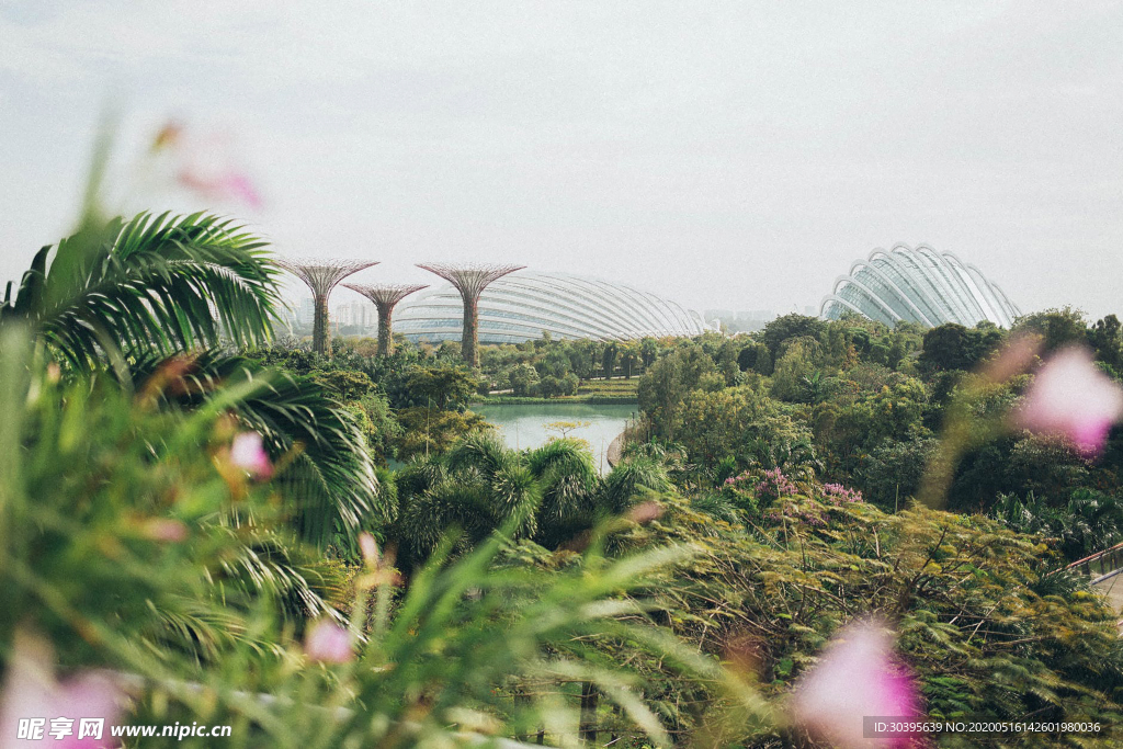 风景