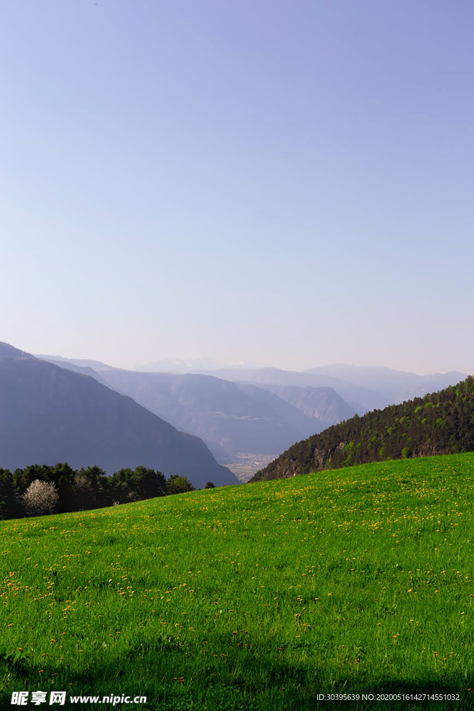风景