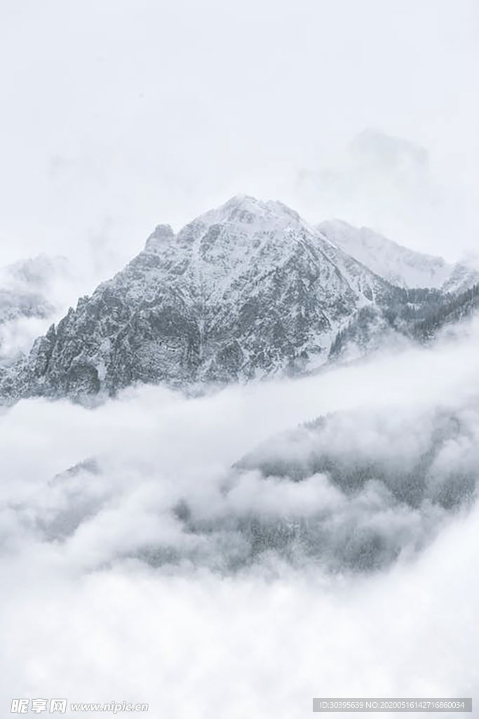 风景