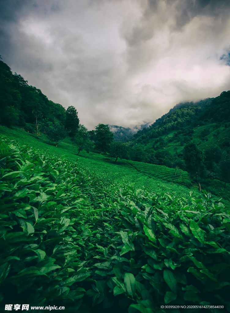 风景