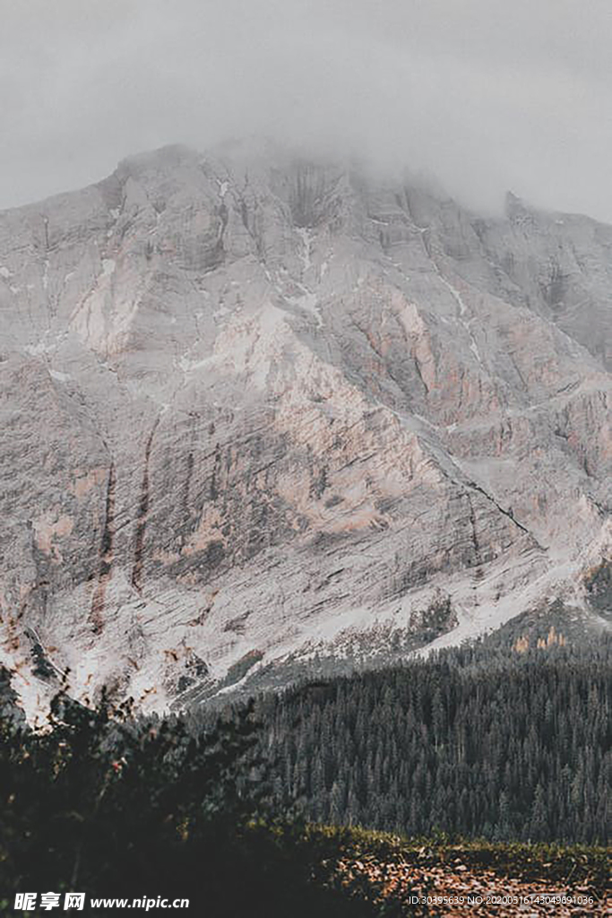 风景