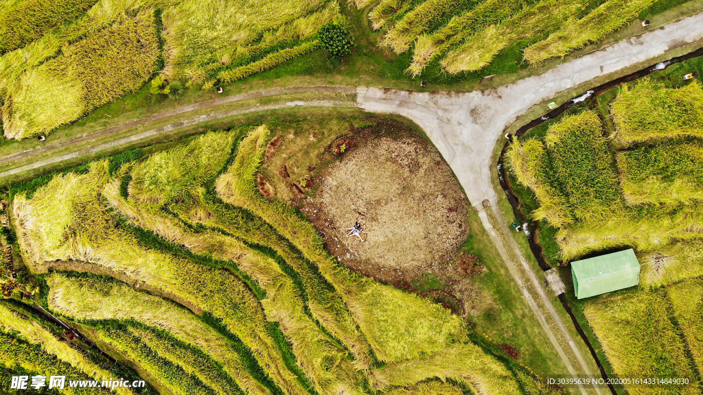 风景