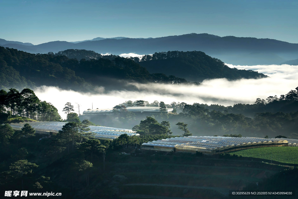 风景