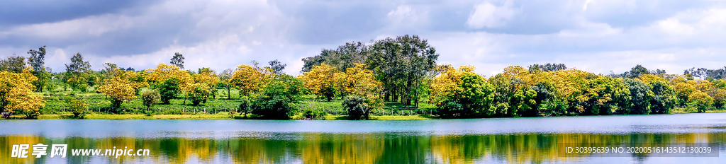 风景