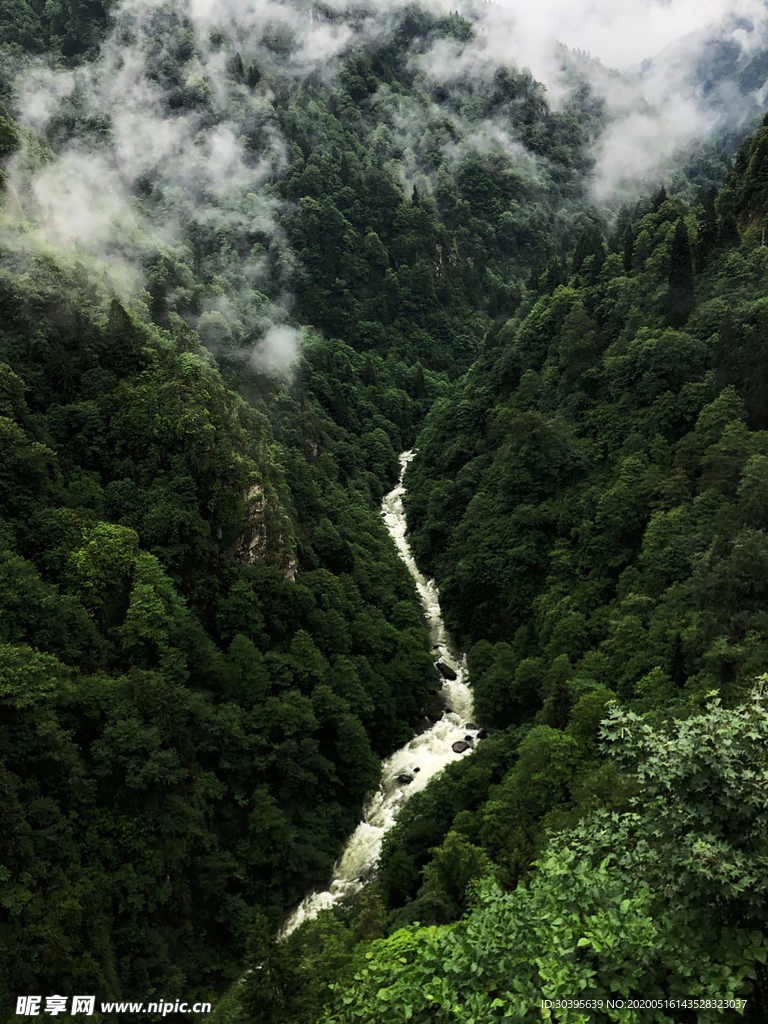 风景