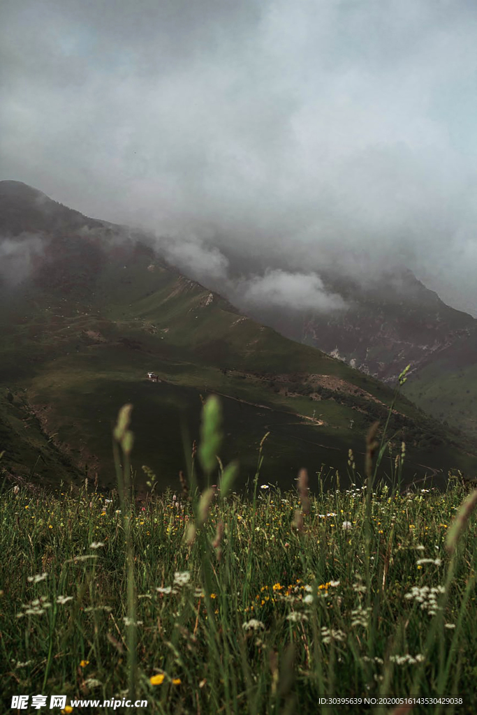 风景