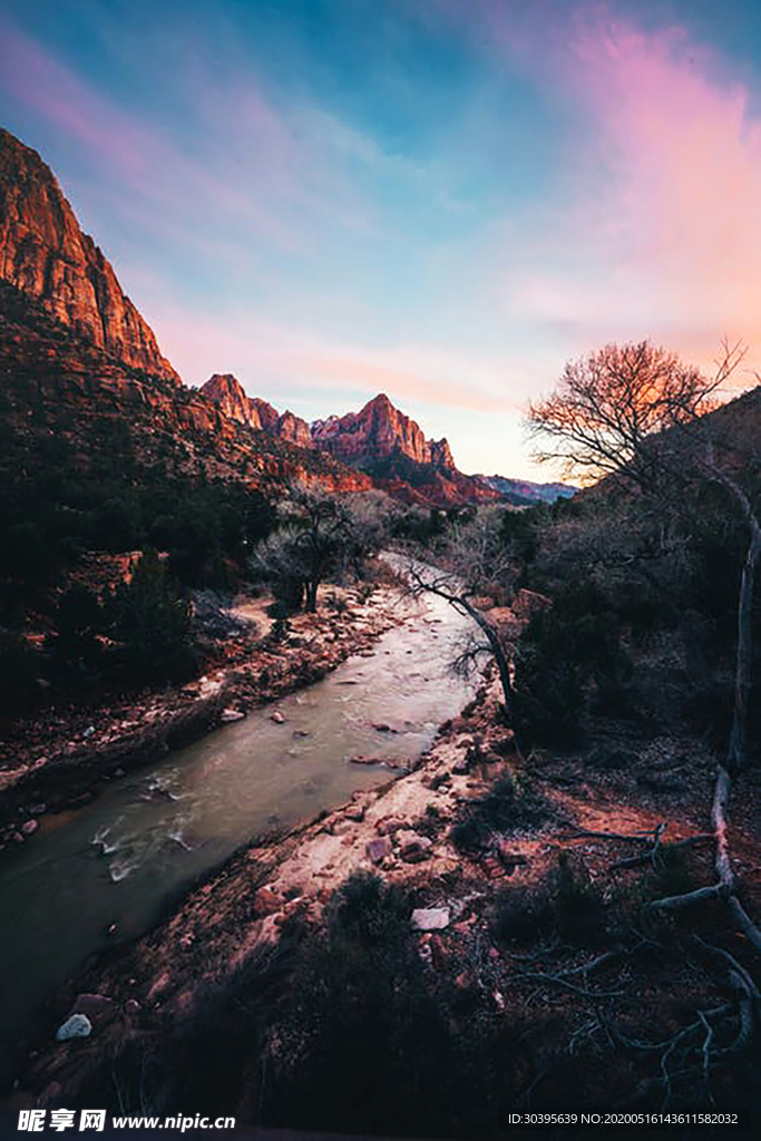 风景