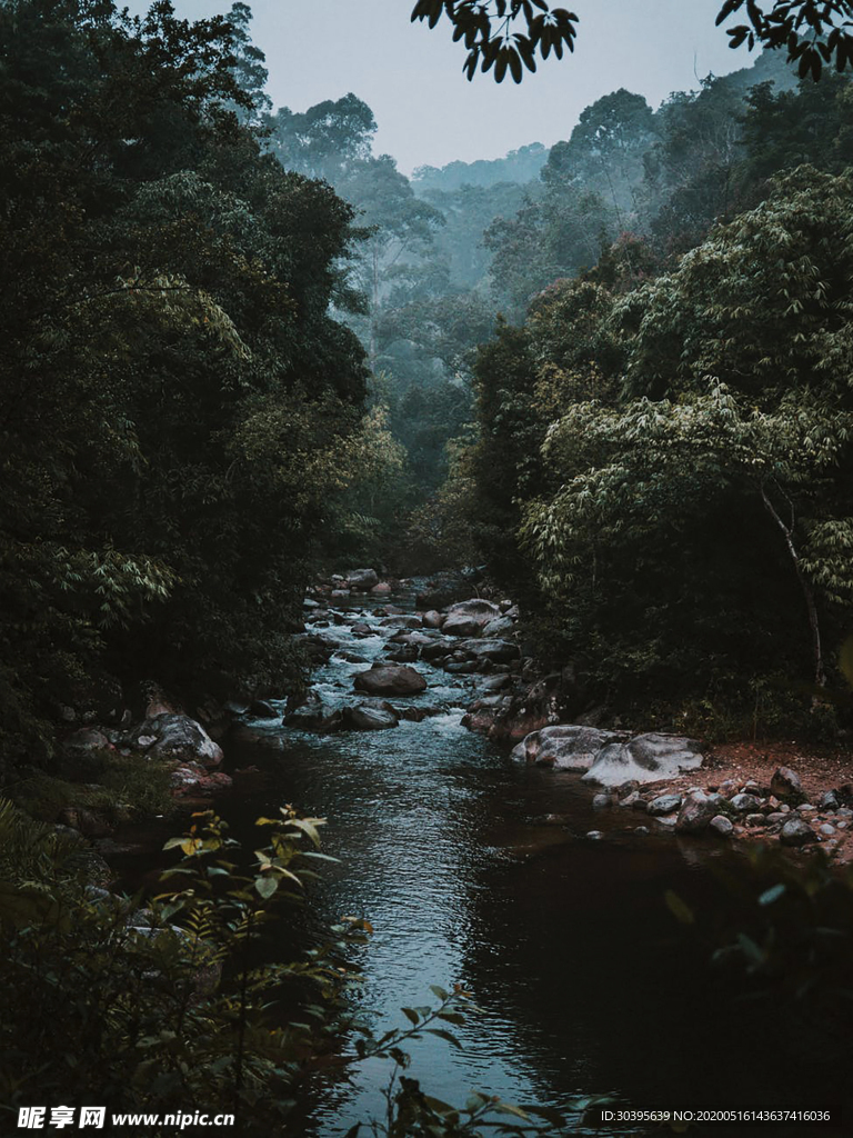 风景