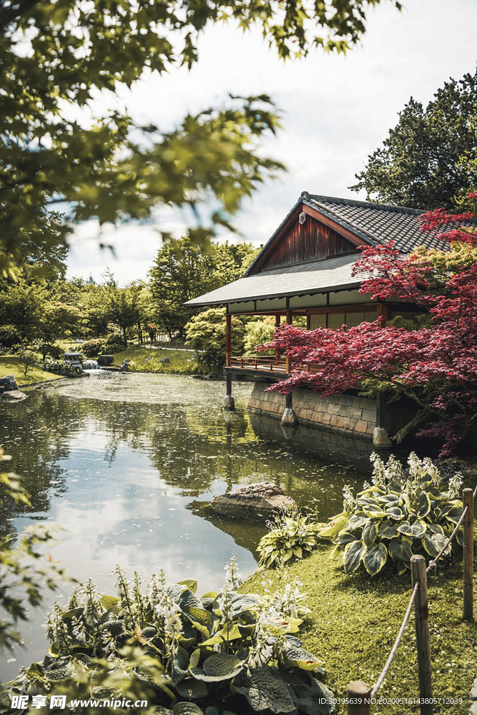 风景