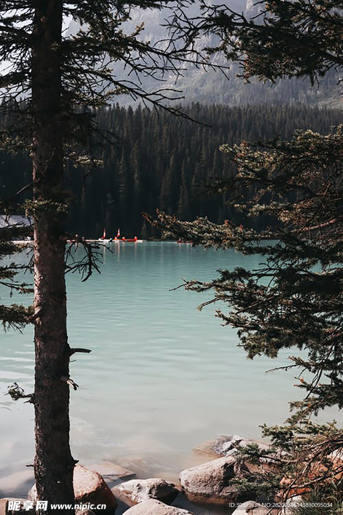 风景