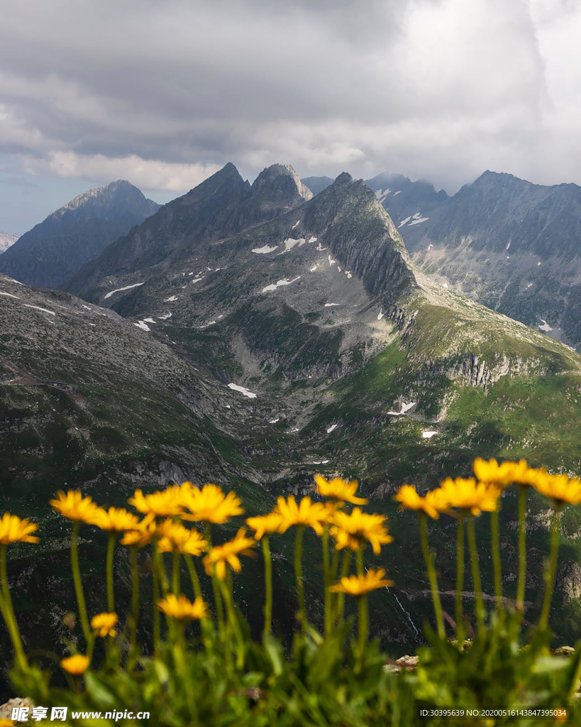 风景