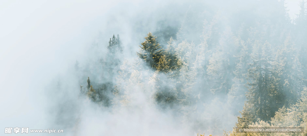 风景
