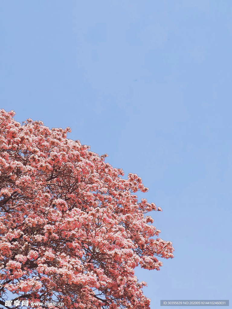 风景